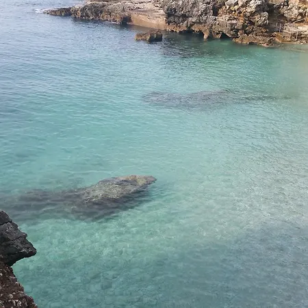 Bosankic Διαμέρισμα *